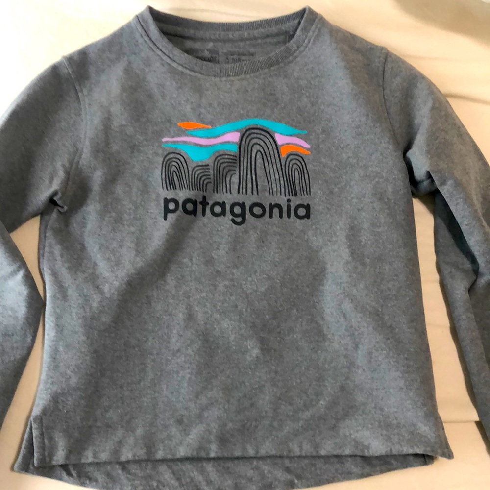 Patagonia Sweatshirt